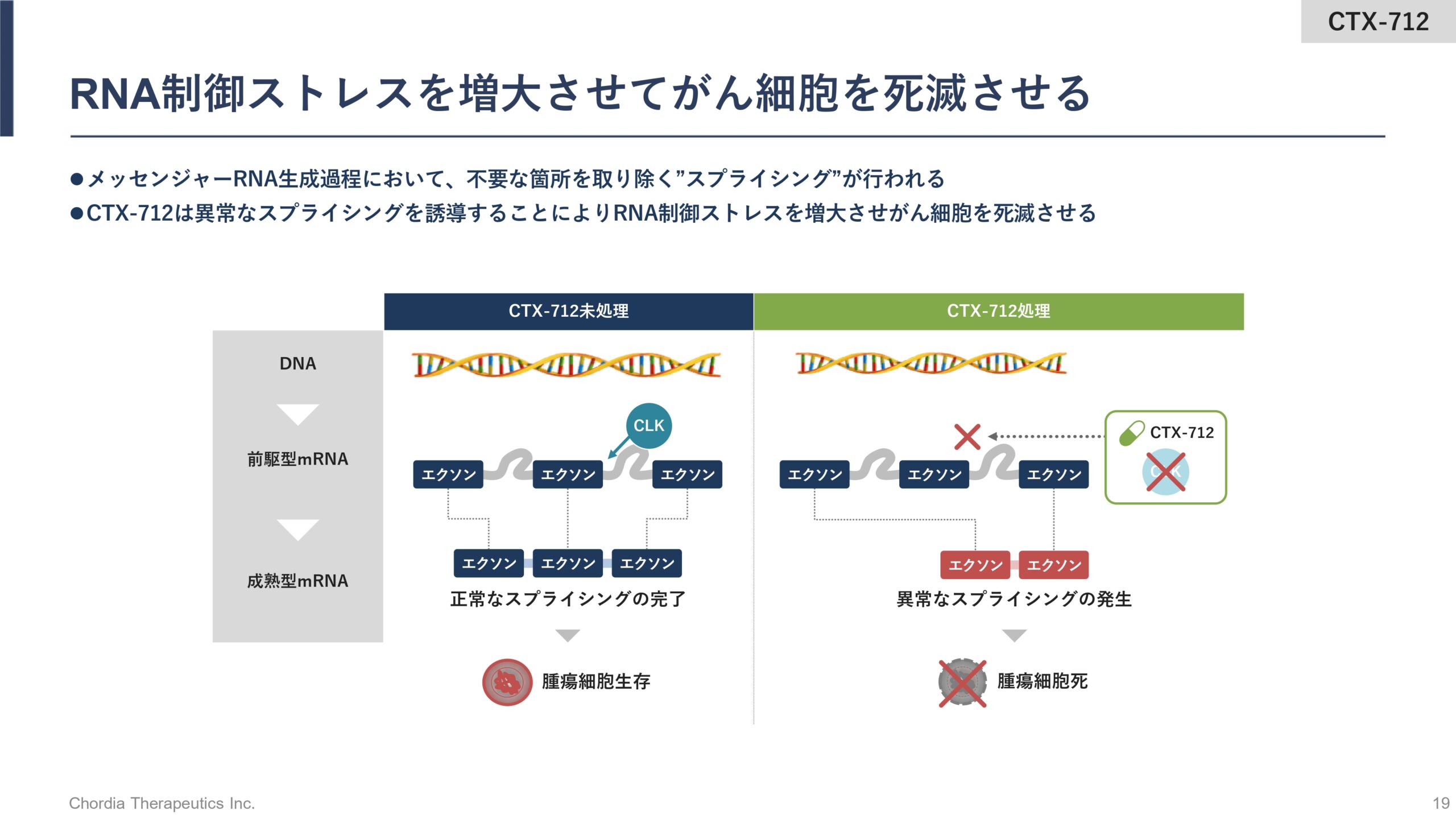 ICU治療指針 I・II・III 2019から2020年 190A】Chordia Therapeutics株式会社 事業概要と成長戦略